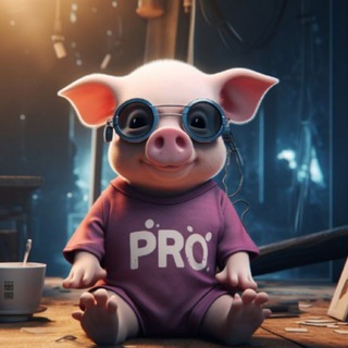 Telegram profile photo for Pro bs