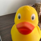 Telegram profile photo for Тут что-то есть