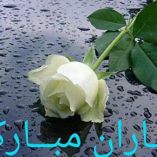 Telegram profile photo for دلنوشته ها