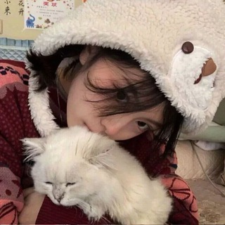 Telegram profile photo for кав'ярня котиків