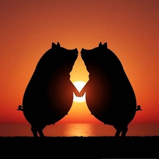 Telegram profile photo for Переходник ЕПкф