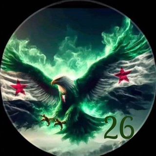Telegram profile photo for DamasMedLectures26