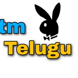 Telegram profile photo for Paytm Telugu 143
