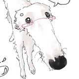 Telegram profile photo for disegni di nonna :)