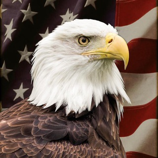 Telegram profile photo for PILOTS & FAs AGAINST MASK&VAX Channel
