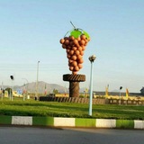 Telegram profile photo for تاکسفورد