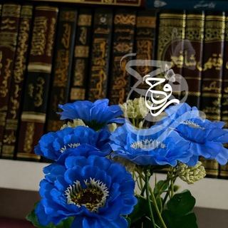 Telegram profile photo for الــࢪُوحْ 𓍼֪