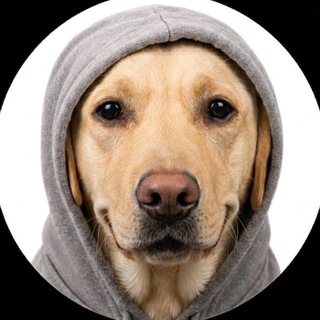 Telegram profile photo for бугор 🤣