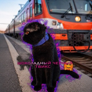 Telegram profile photo for шоколадный черный твикс