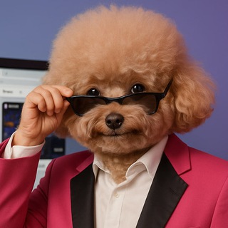 Telegram profile photo for JonyaTripper
