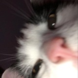 Telegram profile photo for wandering.