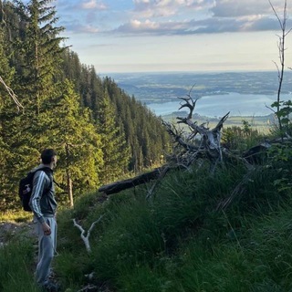 Telegram profile photo for DX