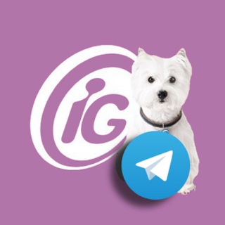 Telegram profile photo for iG Delas