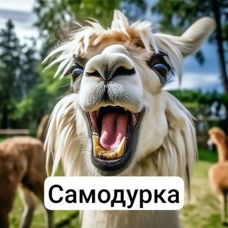 Telegram group profile photo for САМОДУРКА⚡️⚡️⚡️ приколы