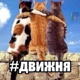 Telegram profile photo for Кураторий тайн 👌🏻
