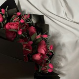 Telegram profile photo for خِيـرَة .