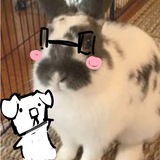 Telegram profile photo for хнерь