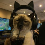 Telegram profile photo for Timur КРИПТА