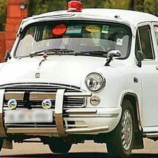 Telegram profile photo for Maharashtra gov jobs