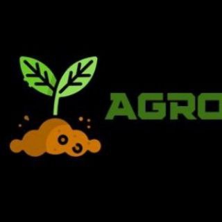 Telegram profile photo for Производитель семян "Агротека" (овоще-бахчевые семена оптом)