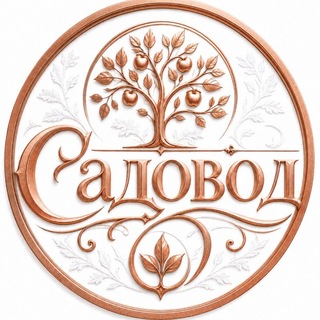 Telegram profile photo for ОПТОМ: Садовод, ТЯК, Южные Ворота