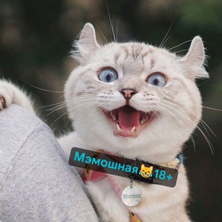 Telegram profile photo for ꧁М϶ʍᴏɯнᴀя꧂