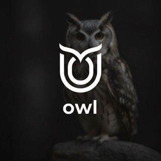 Telegram profile photo for Owl Hax
