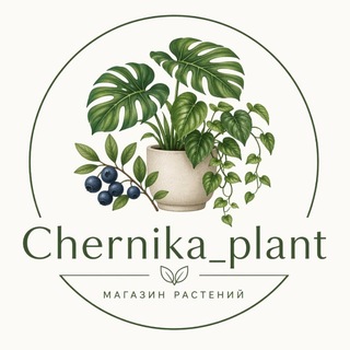 Telegram profile photo for Chernika_plant