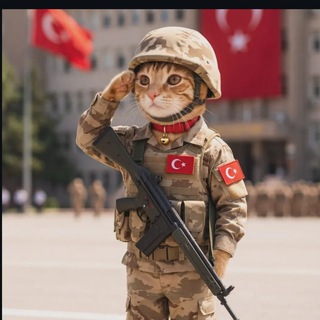 Telegram profile photo for Agent C(h)at😸🇹🇷