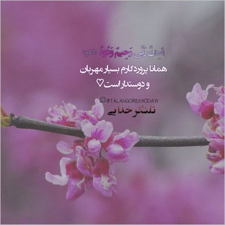 Telegram group profile photo for 🌺گروه تلنگر خدایی🌺