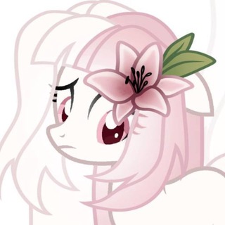 Telegram profile photo for sᴋᴋʀʀʀɪᴘ.