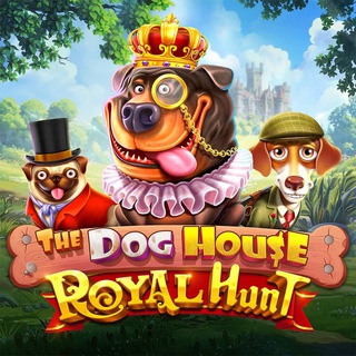 Telegram group profile photo for DOG HOUSE