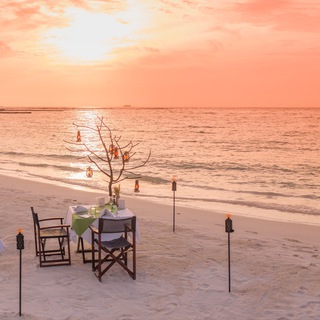 Telegram profile photo for Minor Hotels Maldives