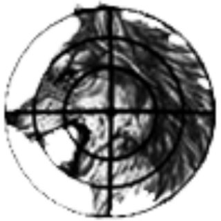 Telegram profile photo for Чеченская война