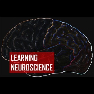 Telegram profile photo for Learning Neuroscience 🧠🔬