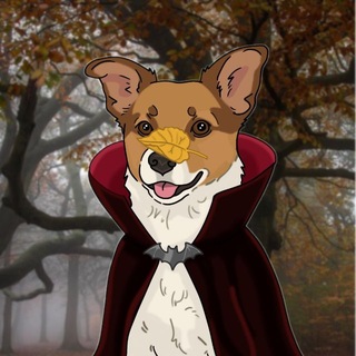 Telegram profile photo for дневник клыкастого 🦇
