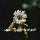 Telegram profile photo for Moychechakli qalb