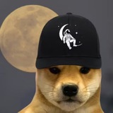 Telegram profile photo for Moonvember | Moonvember | PORTAL