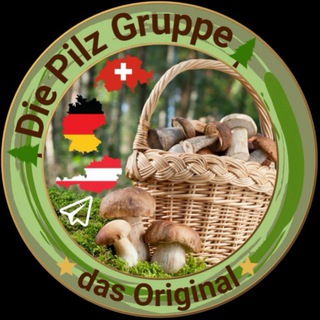 Telegram profile photo for 🌲Die Pilz Gruppe🌲