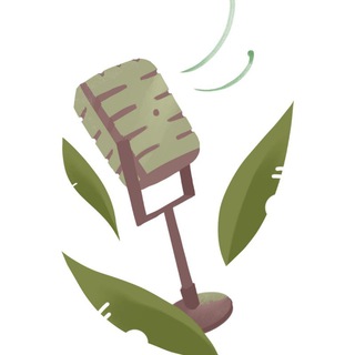 Telegram profile photo for Wind Studio