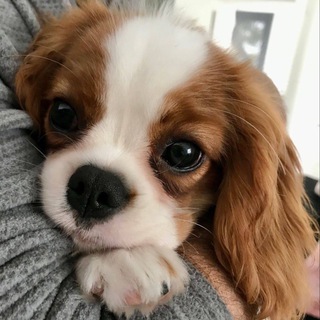 Telegram profile photo for Что вижу, то и пишу