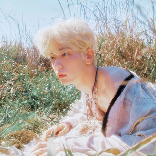 Telegram profile photo for › ›白日梦 🌱 ✧ ₊ ˚
