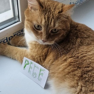 Telegram profile photo for редбиомасса🤢