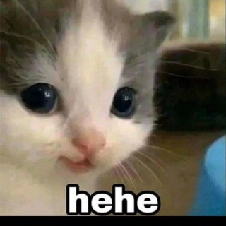 Telegram profile photo for Украденные несмешные мемы