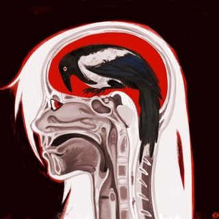Telegram profile photo for DAREM