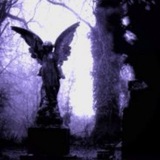 Telegram profile photo for ᐟ 𝘼𝙙𝙤𝙥𝙩 𝙨𝙝𝙤𝙥 𝙘𝙤𝙣𝙛𝙚𝙨𝙨𝙞𝙤𝙣 ⋮