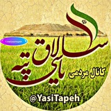 Telegram profile photo for کانال مردمی سلاق یاسی تپه