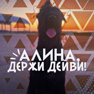 Telegram profile photo for алина, держи дейви!