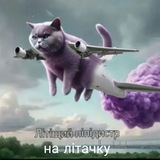 Telegram profile photo for Пiпiдастр