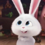 Telegram profile photo for archive